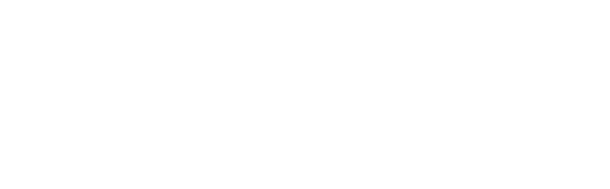 ECOBAGS